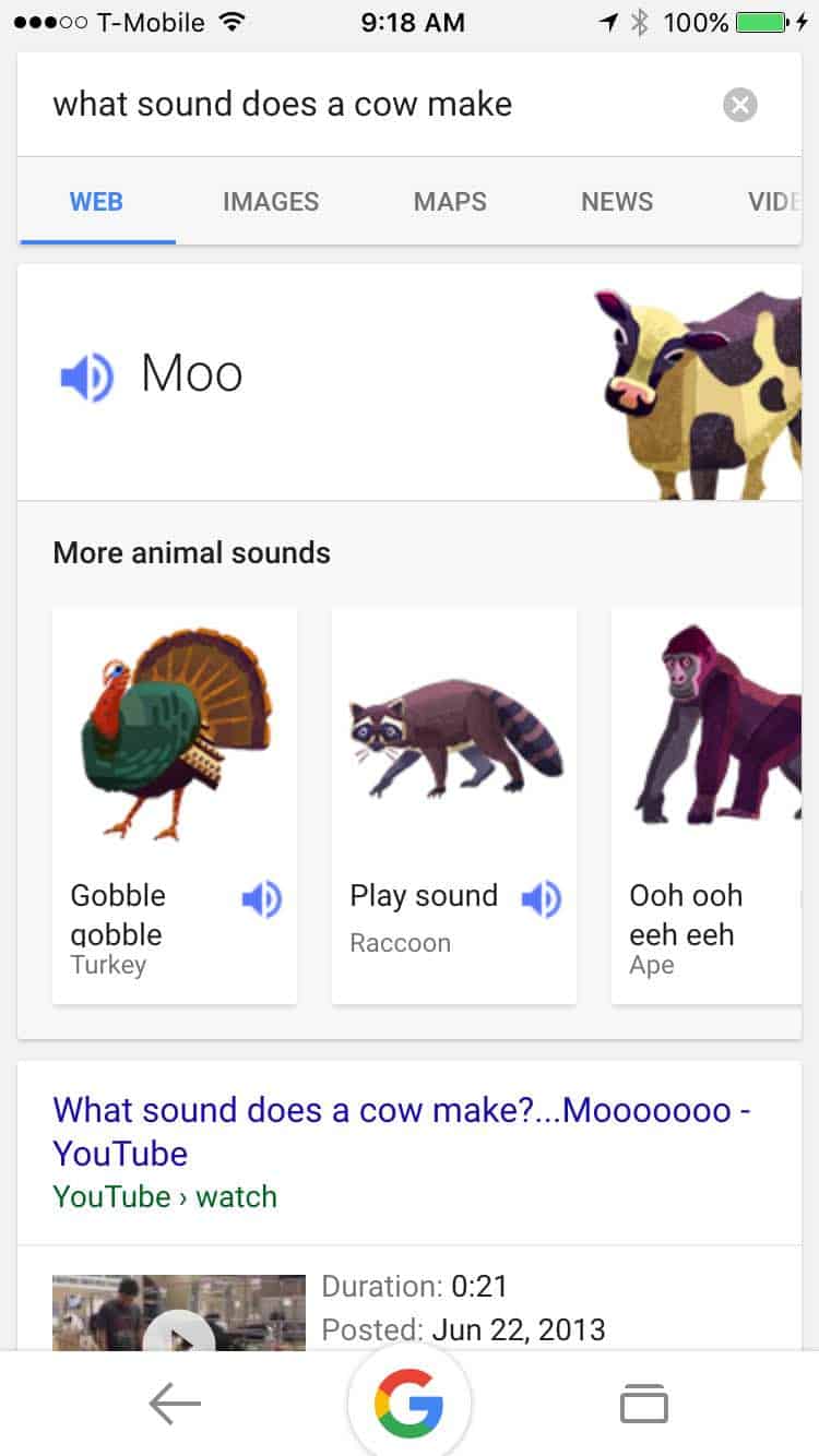 Google Adds 19 Animal Sounds To Search - Thrive Business Marketing