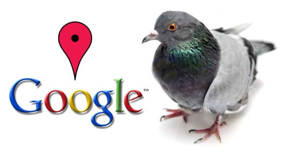Google pigeon update