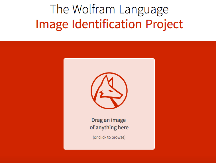 Wolfram alpha image identification