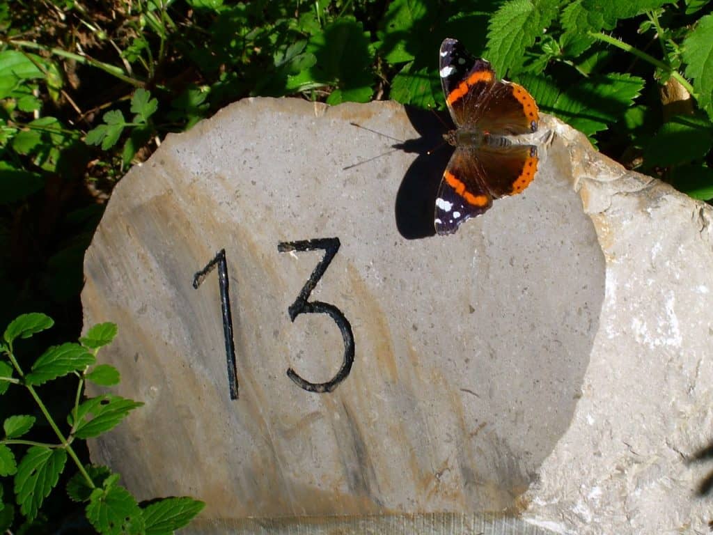 thirteen, butterfly, milestone-266679.jpg