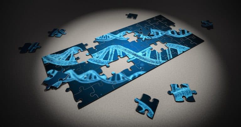 puzzle, dna, research-2500333.jpg