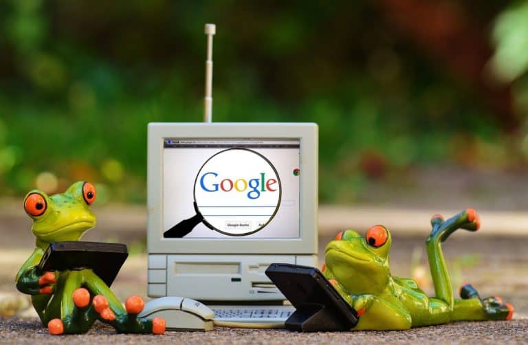 frogs, computer, google-1037868.jpg